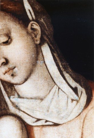 Anonimo — Grazia Leonardo - sec. XVI - Madonna con Bambino e san Giovannino: particolare — particolare